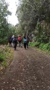 WhatsApp Video 2024 05 16 At 21.22.01