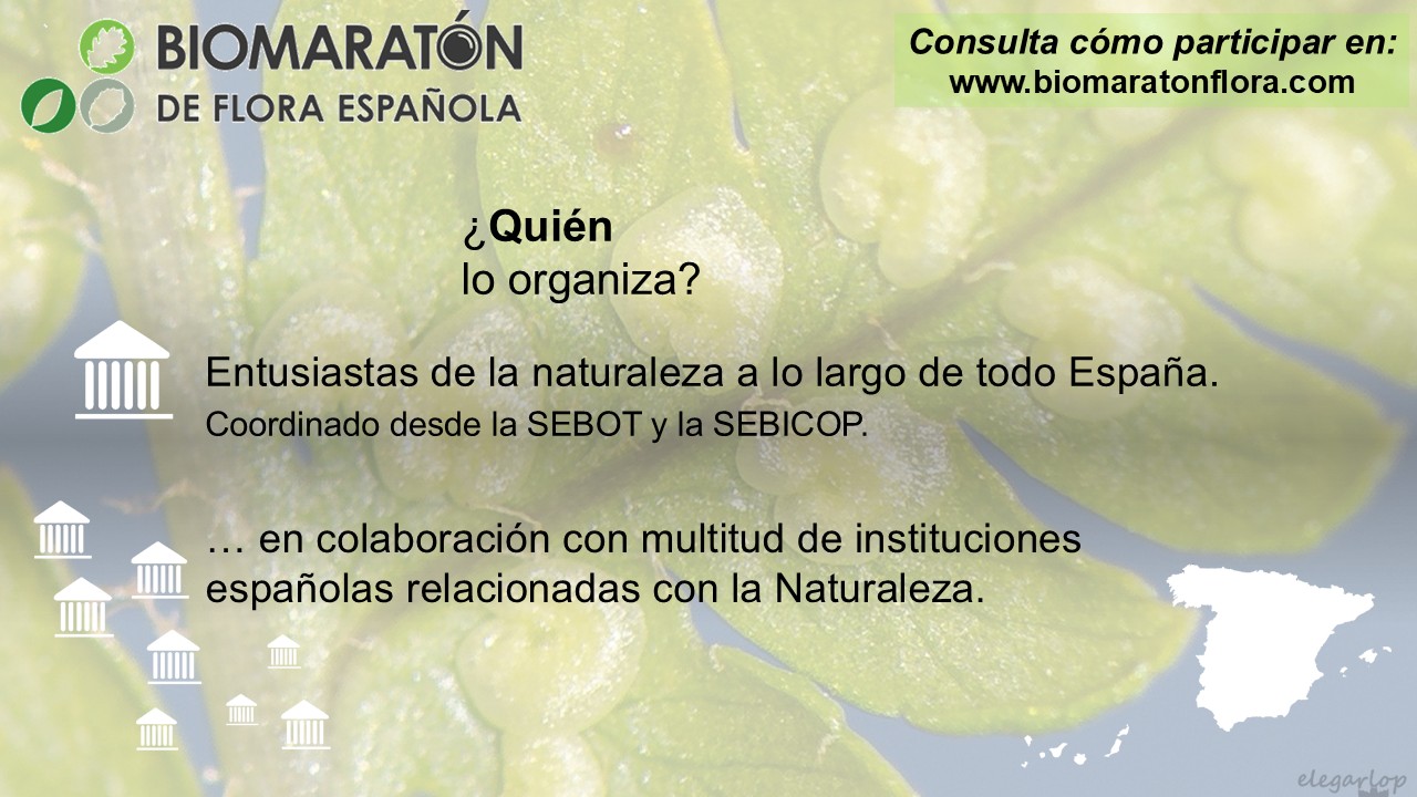 02 Quién Lo Organiza