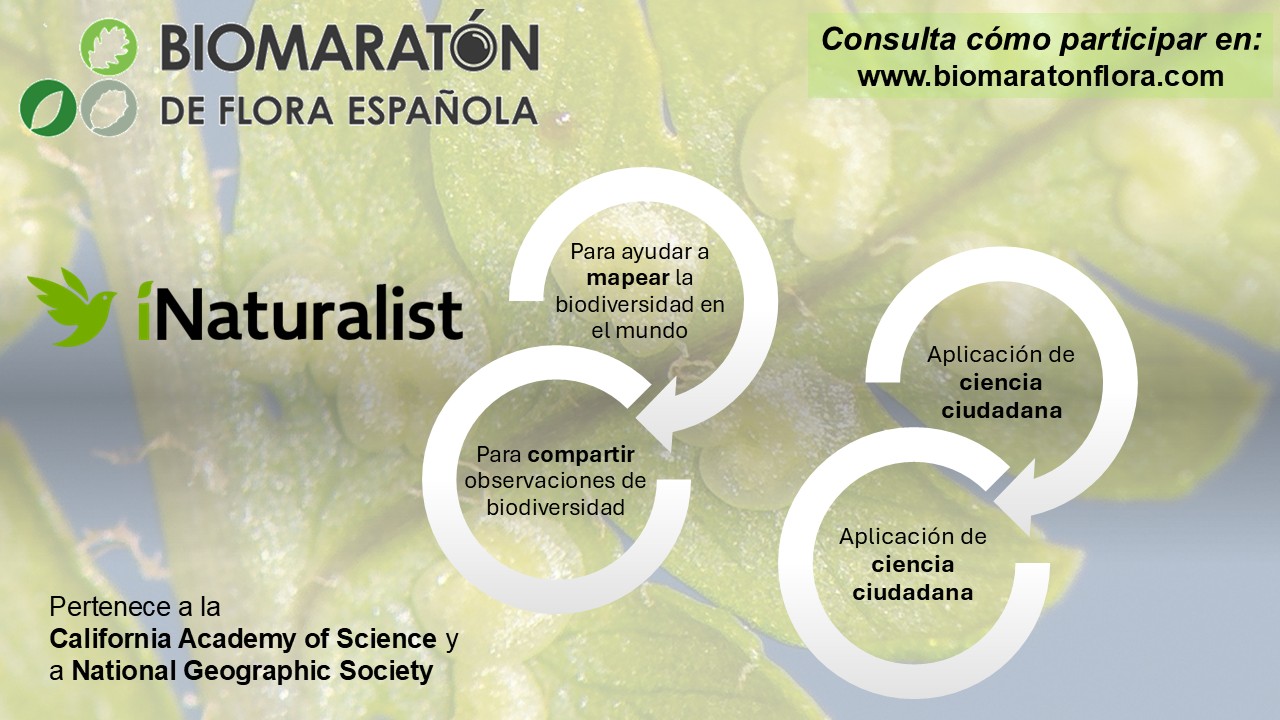 05 INaturalist
