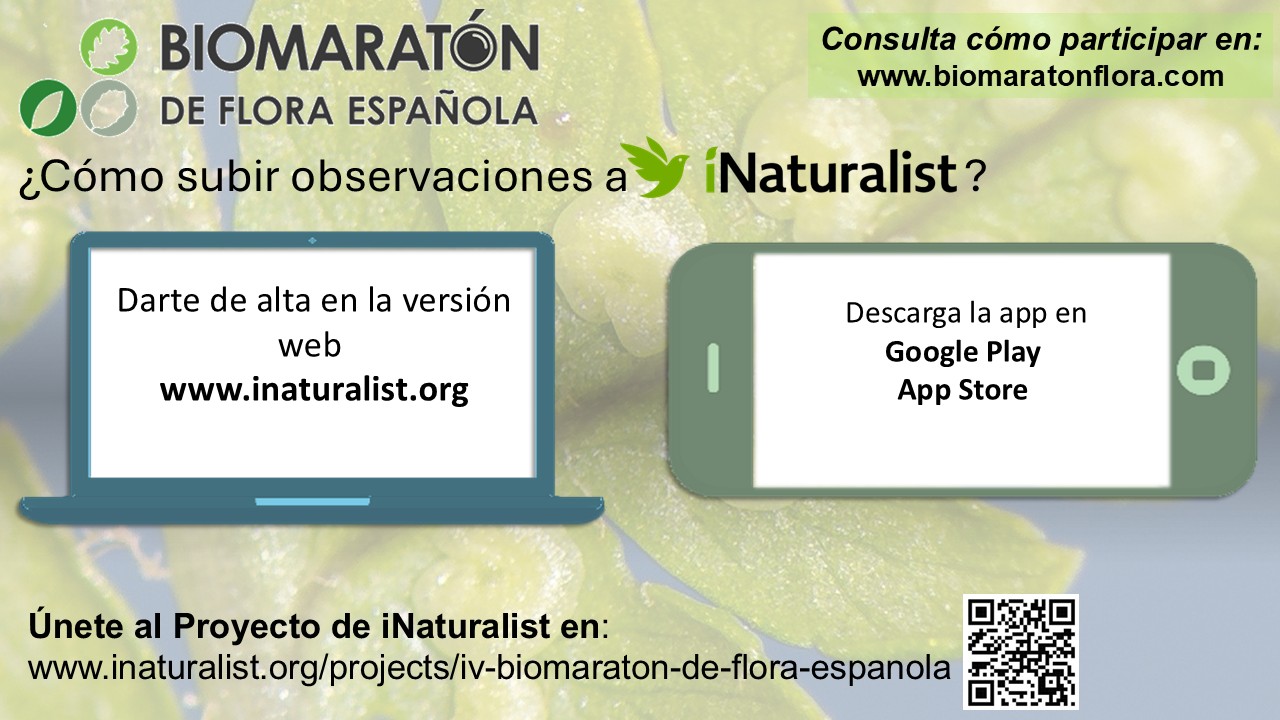 06 Cómo Subir Observaciones