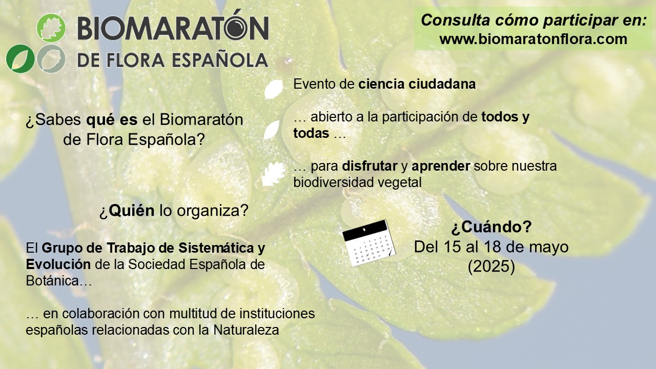 09 Infografía Resumen