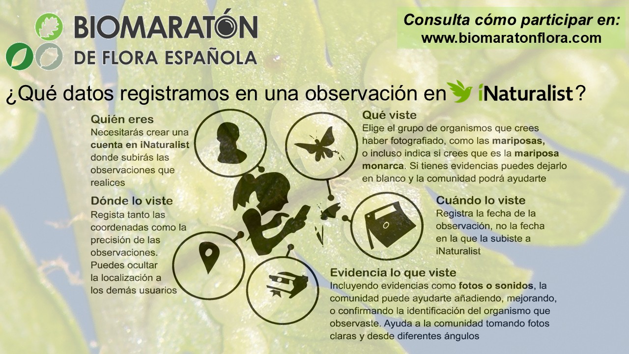 10 INaturalist Datos
