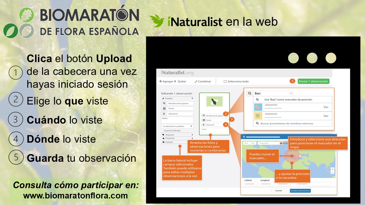 11 INaturalist En La Web