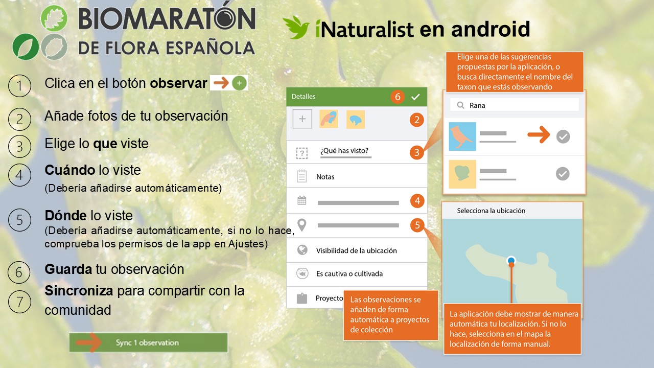 12 INaturalist En Android