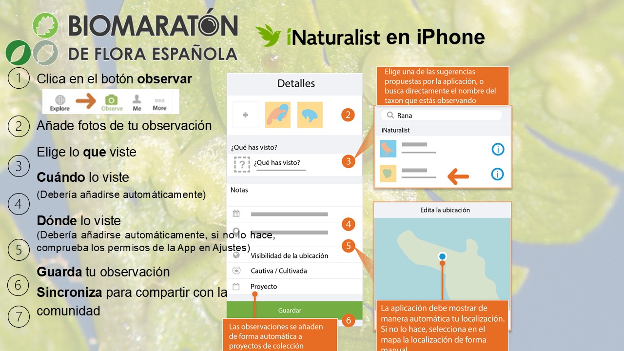 13 INaturalist En Iphone