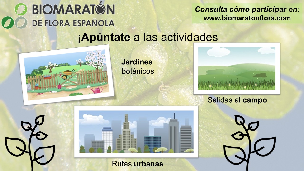 15 Apúntate A Las Actividades