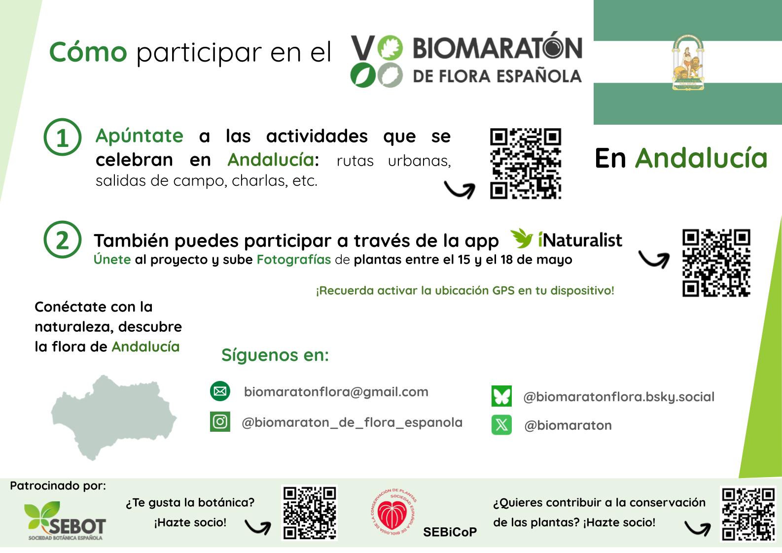 Andalucía Cómo Participar En El VBFE