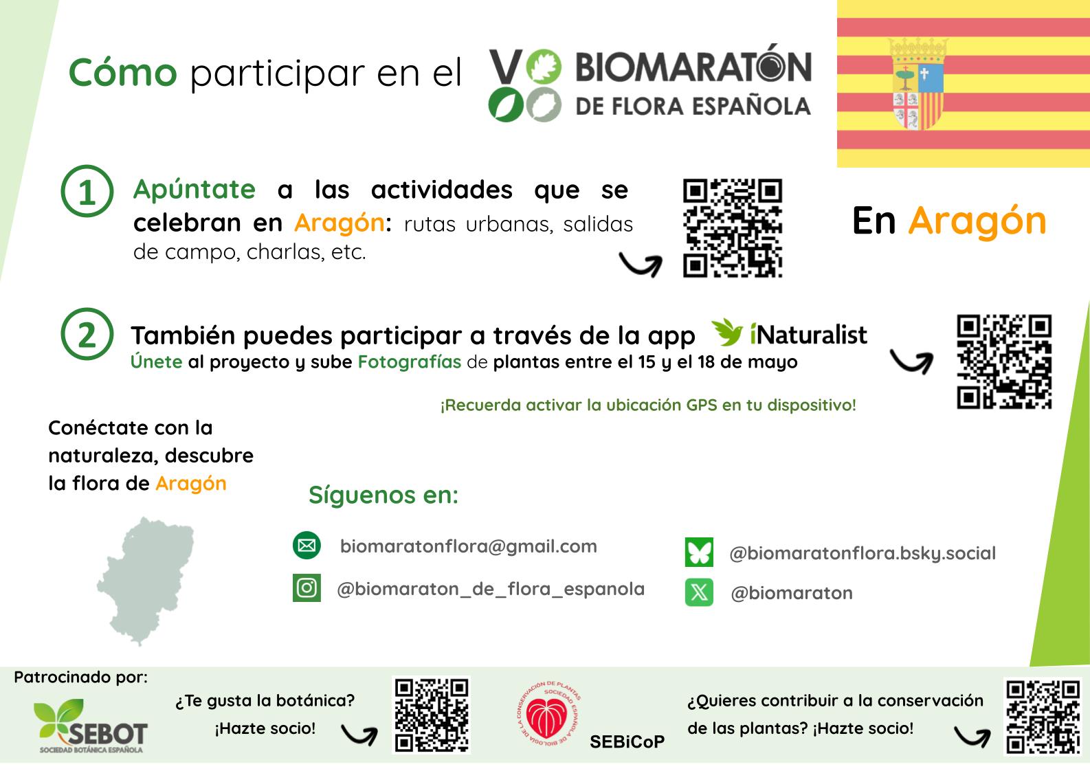 Aragón Cómo Participar En El VBFE