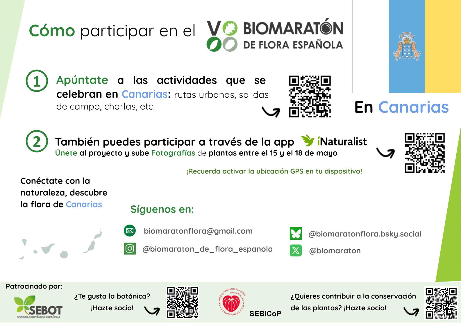 Canarias Cómo Participar En El VBFE