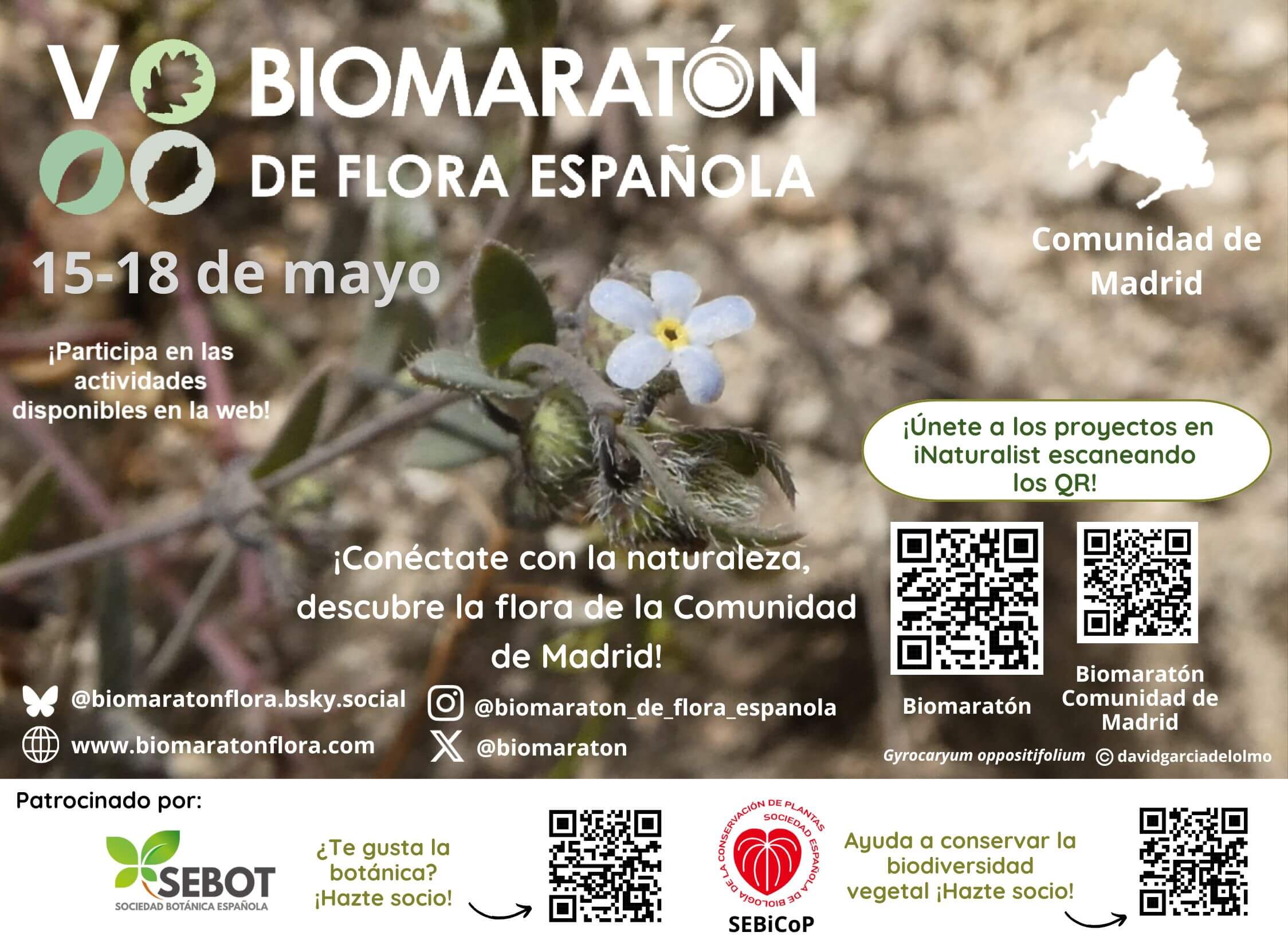 Comunidad Madrid