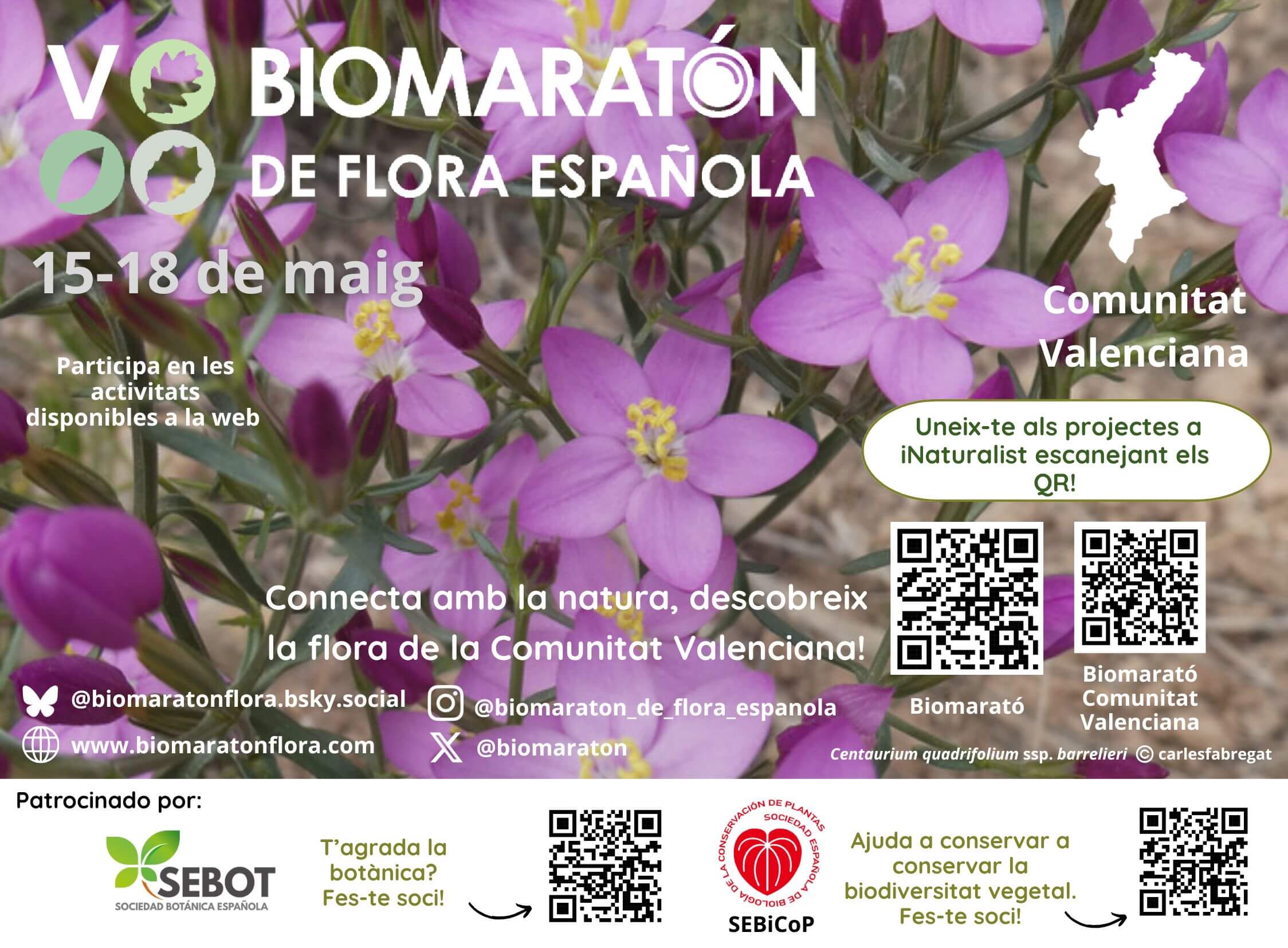 Comunitat Valenciana