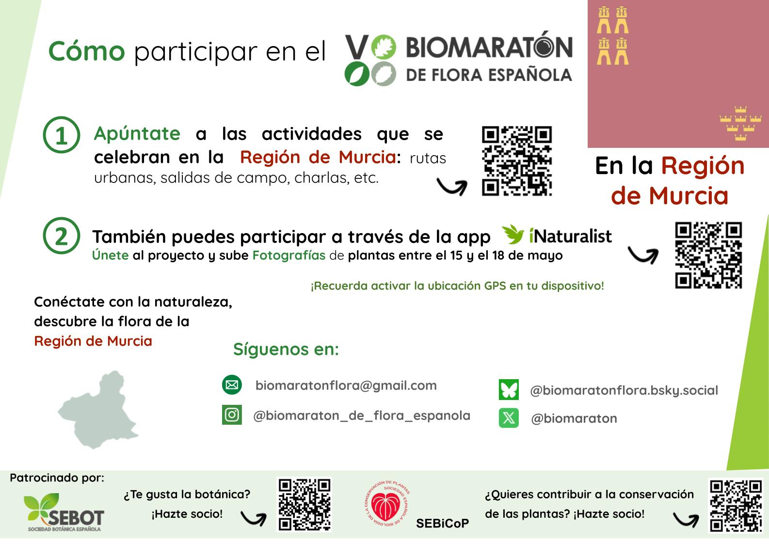 Región Murcia Cómo Participar En El VBFE