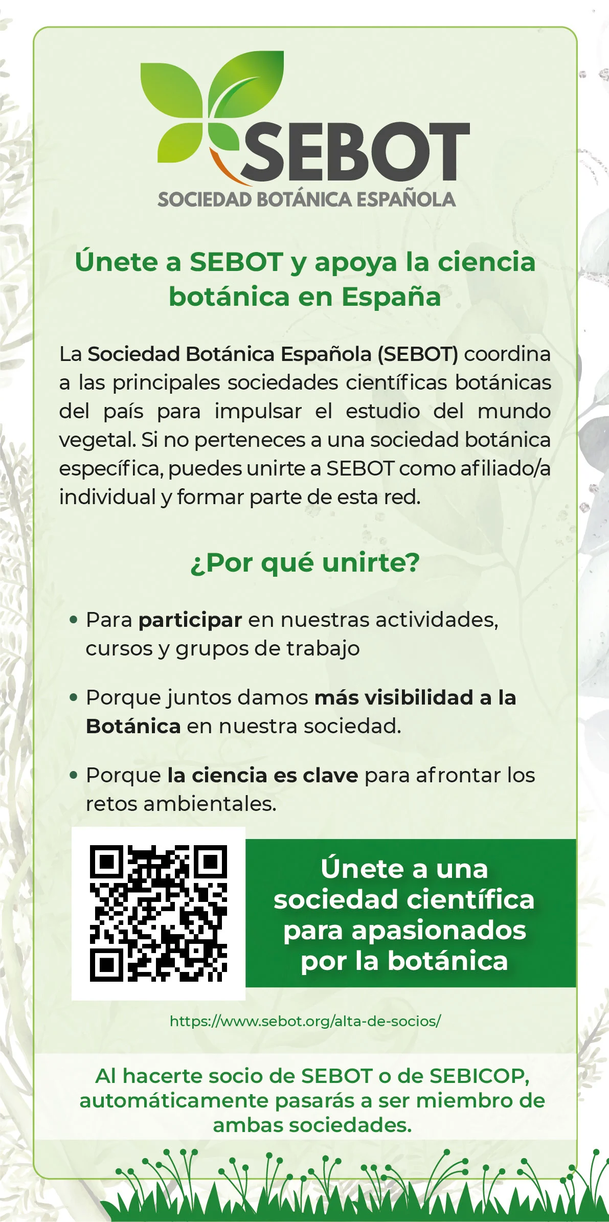 SEBOT